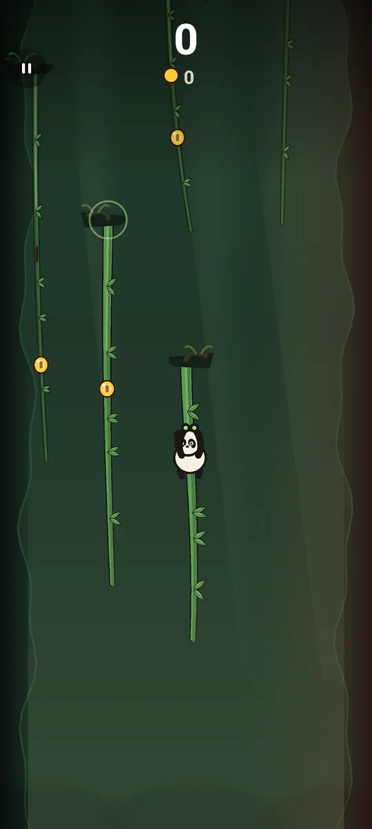 A panda hanging from a swinging vine in a narrow forest canyon